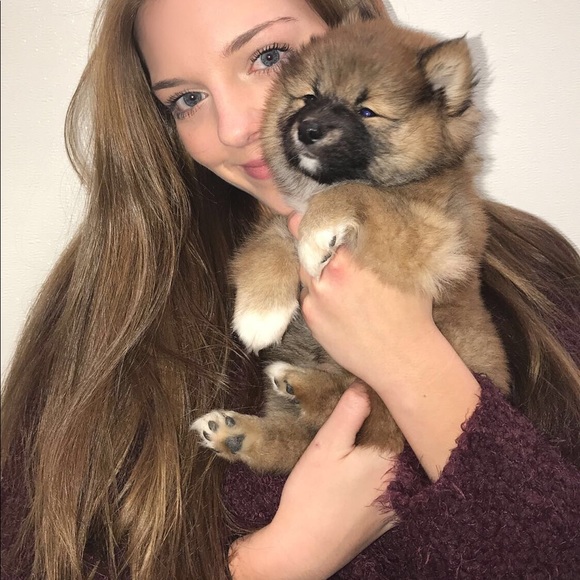 Meet your Posher, Madison - Picture 1 of 4